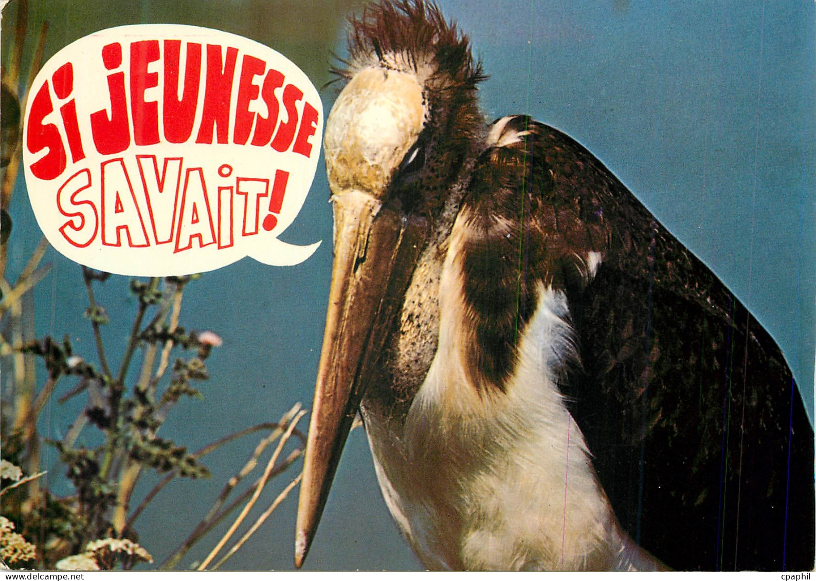 CPM Villars-les-Dombes Parc Ornithologique Departement de la Dombes