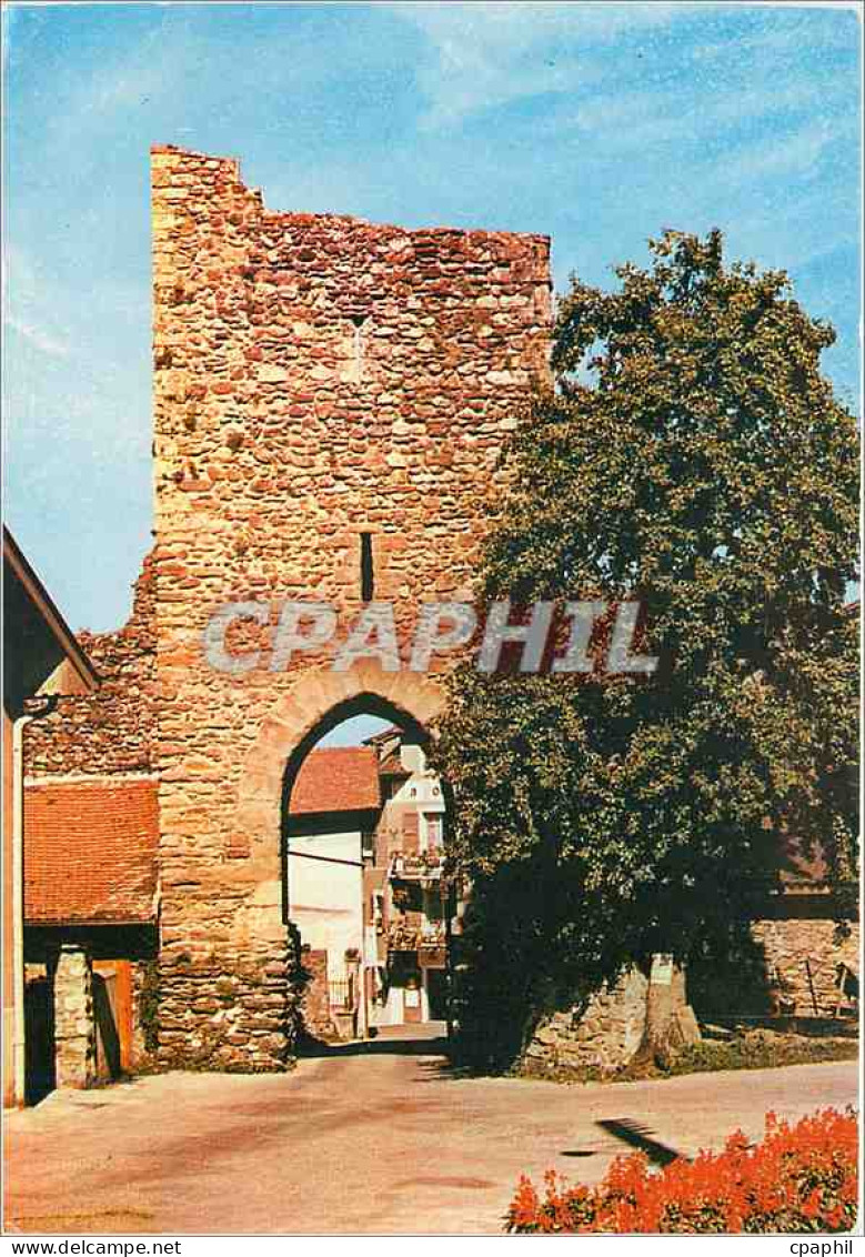 CPM Yvoire Porte gothique