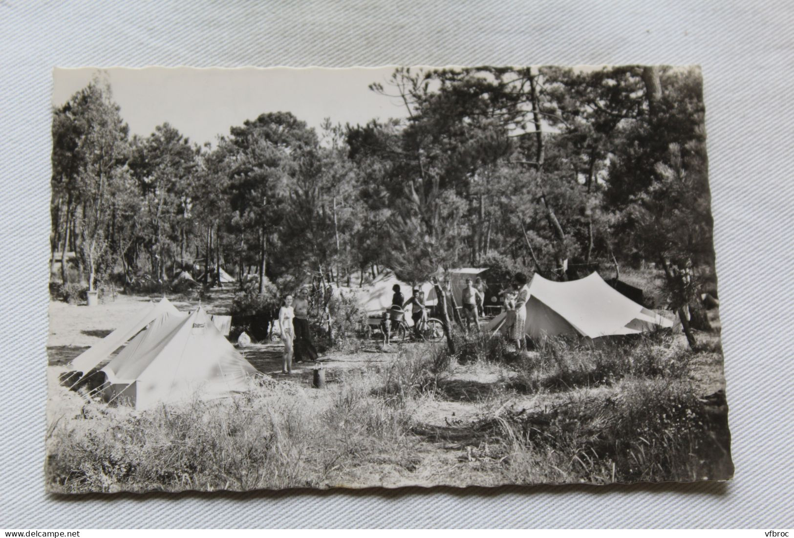Cpsm 1951, Hossegor, village de campeurs, Landes 40