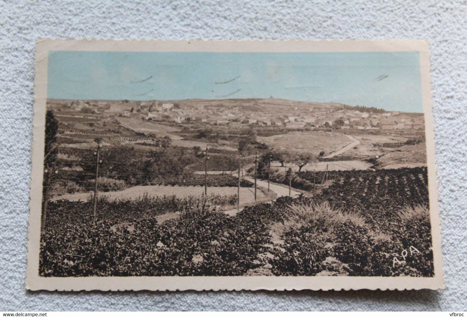 Cpsm 1951, Lespignan, vue générale, Hérault 34