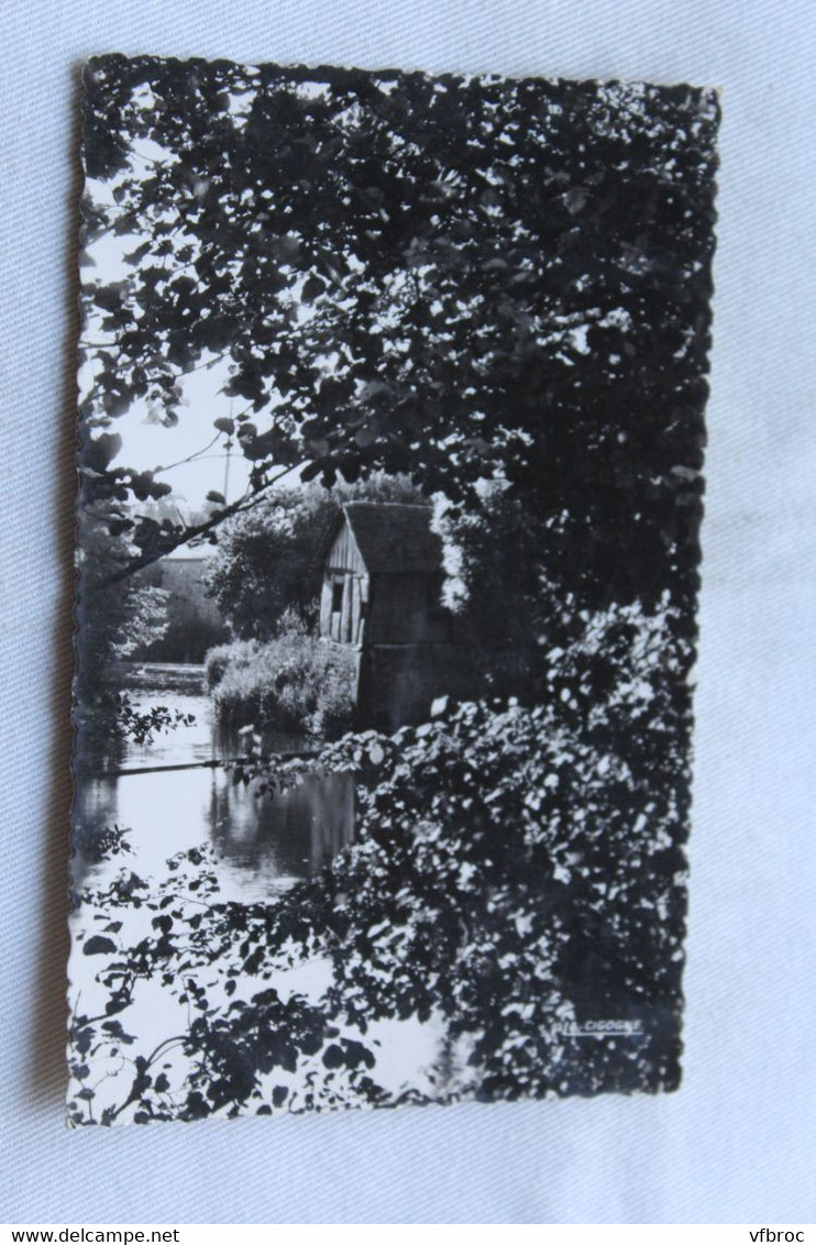 Cpsm 1954, Neufchatel en Bray, un coin pittoresque de la Béthune, Seine maritime 76