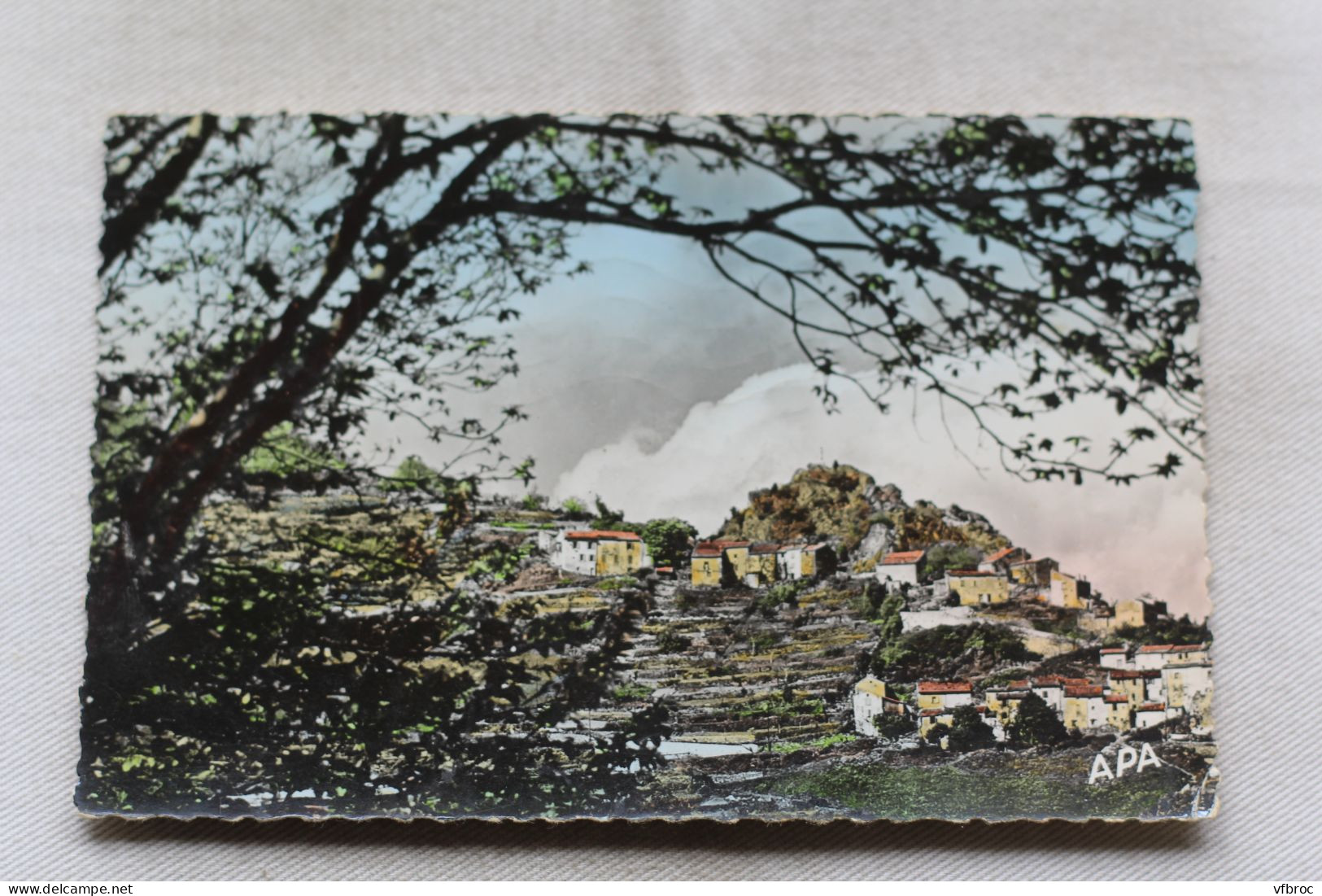 Cpsm 1956, Mazamet, le village d'Hautpoul, Tarn 81