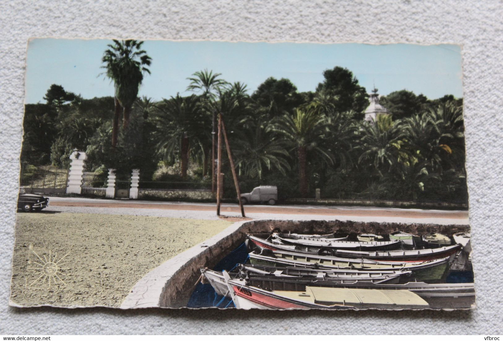 Cpsm 1970, Toulon et ses environs, Tamaris et sa flore, Var 83