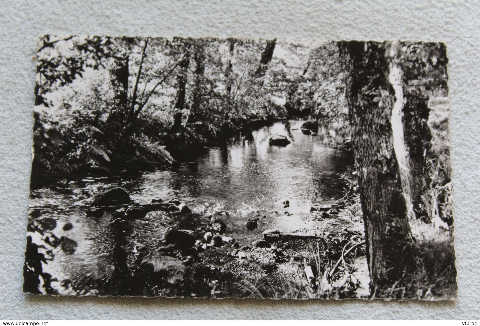 Cpsm 1980, Cheronnac, environs de saint Mathieu, la Tardoire, Haute Vienne 87
