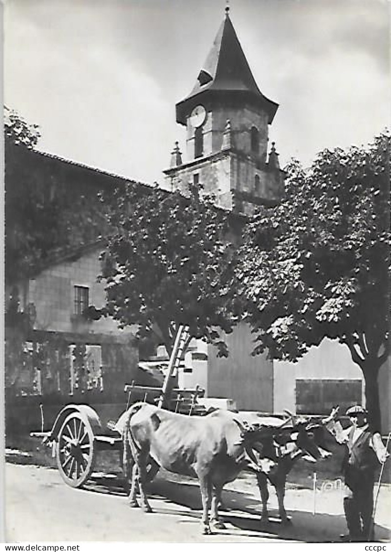 CPSM Ainhoa Le Village