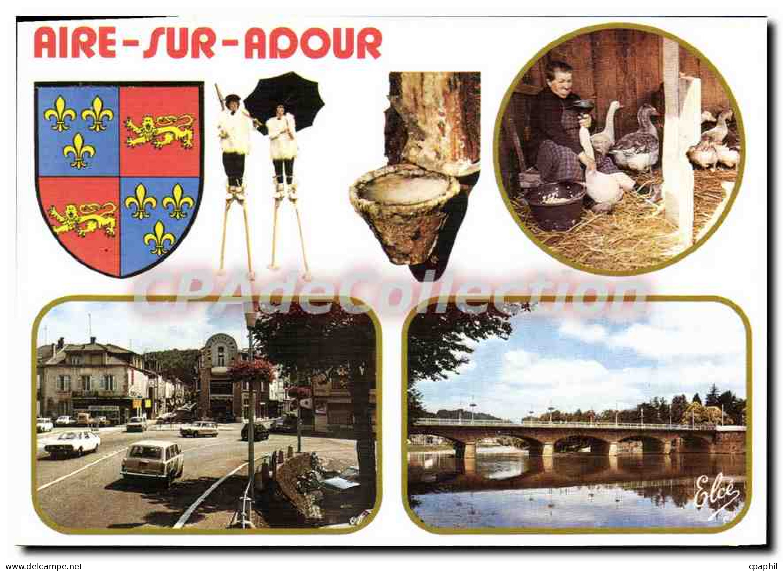 CPSM Aire Sur Adour Capitale Du Foie Gras