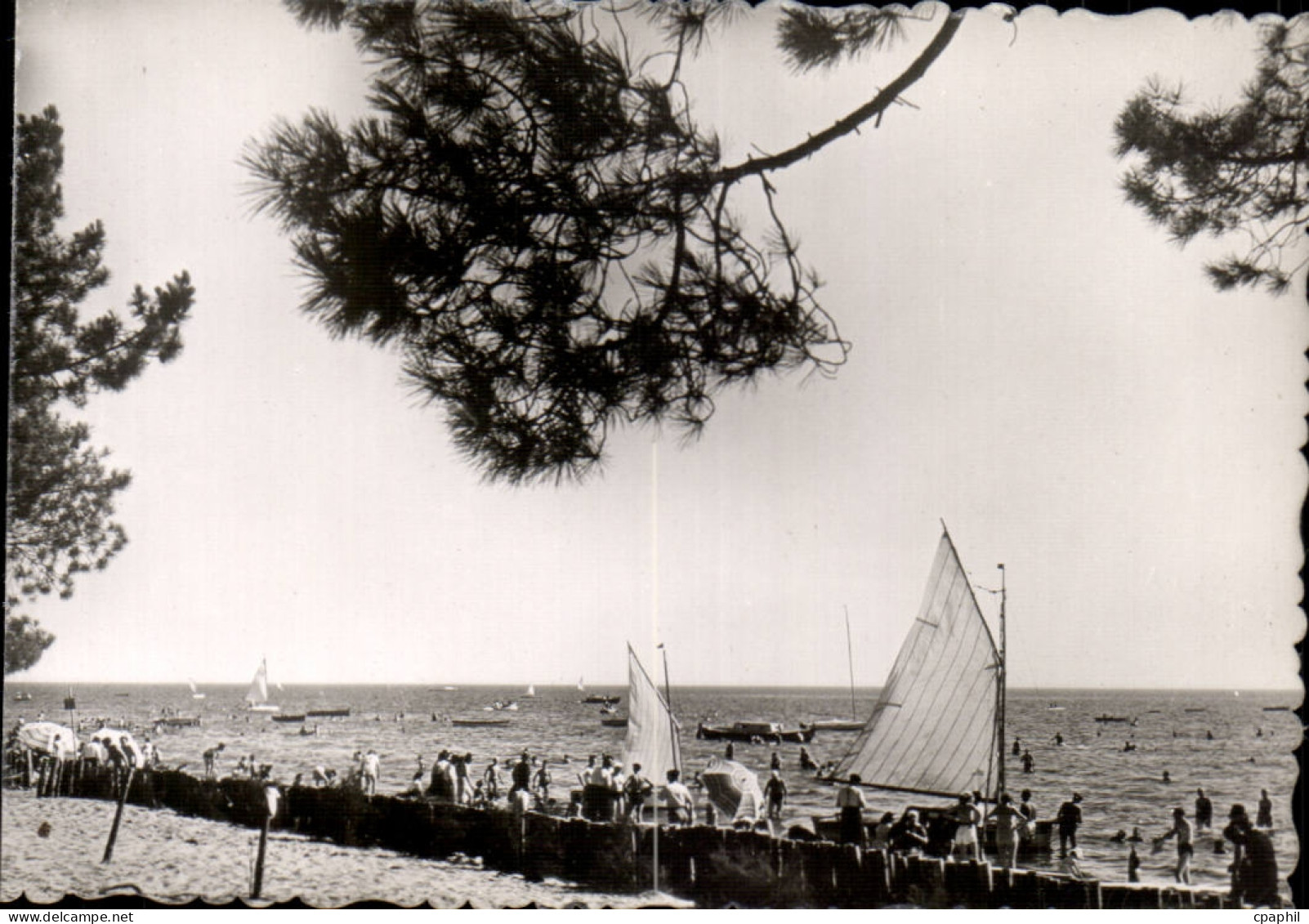 CPSM Andernos les Bains La plage du Mauret