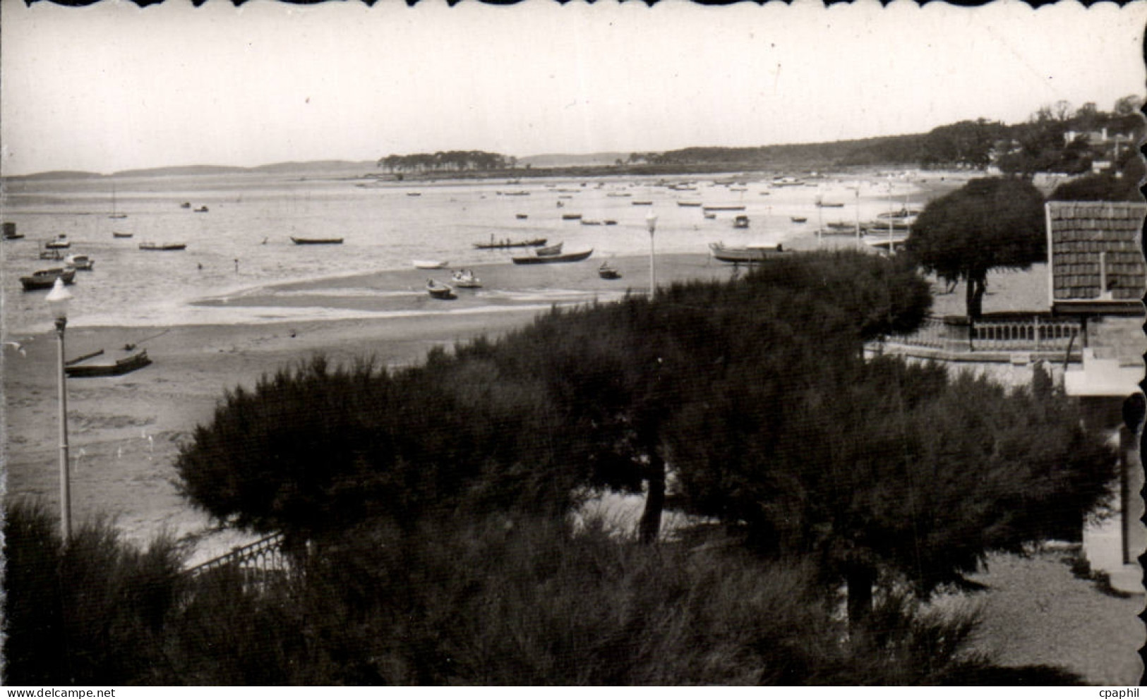 CPSM Andernos les Bains Vue vers les Quinconces