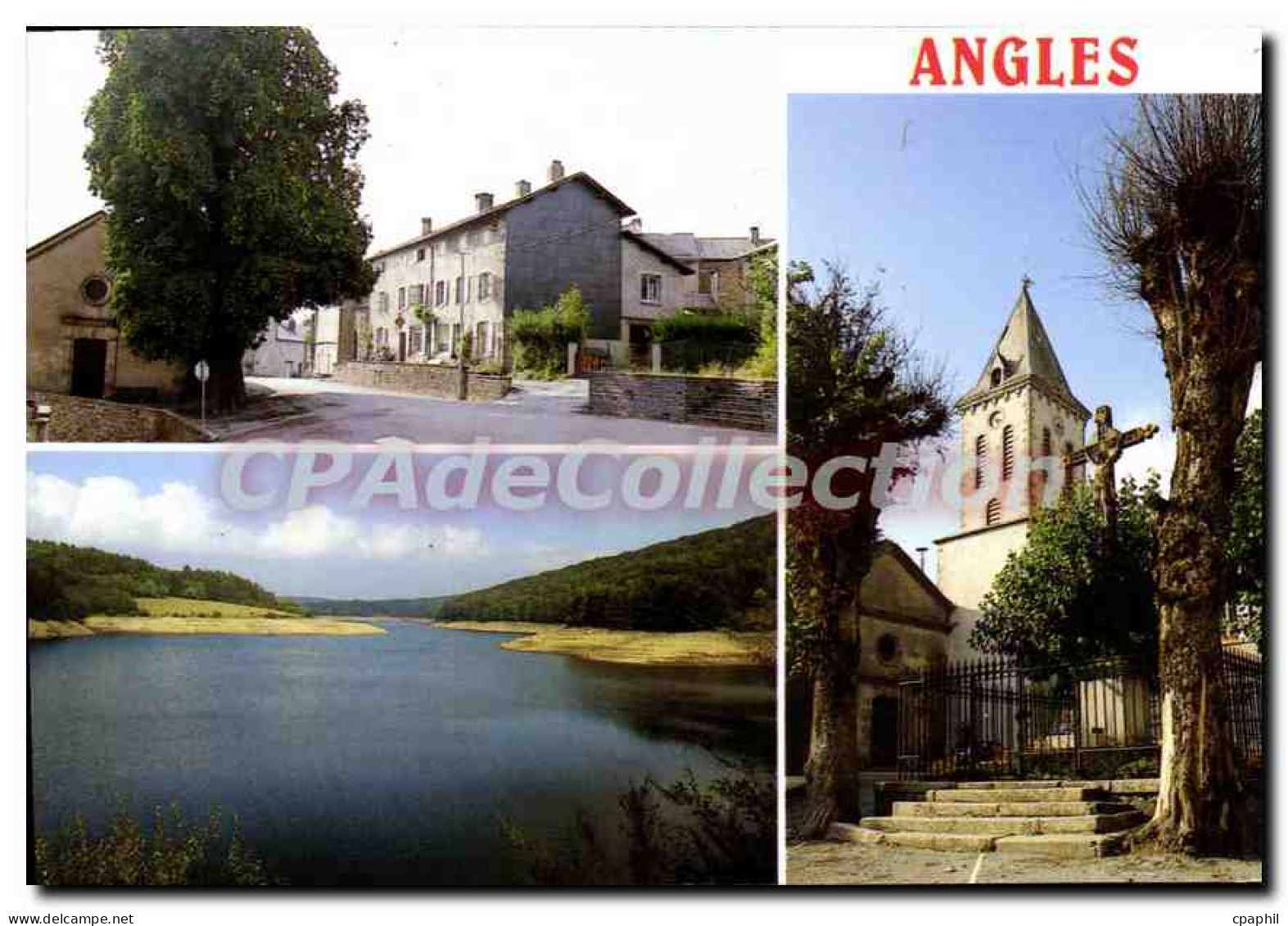 CPSM Angles Le marronnier Le Lac Des Saints Peyres clocher