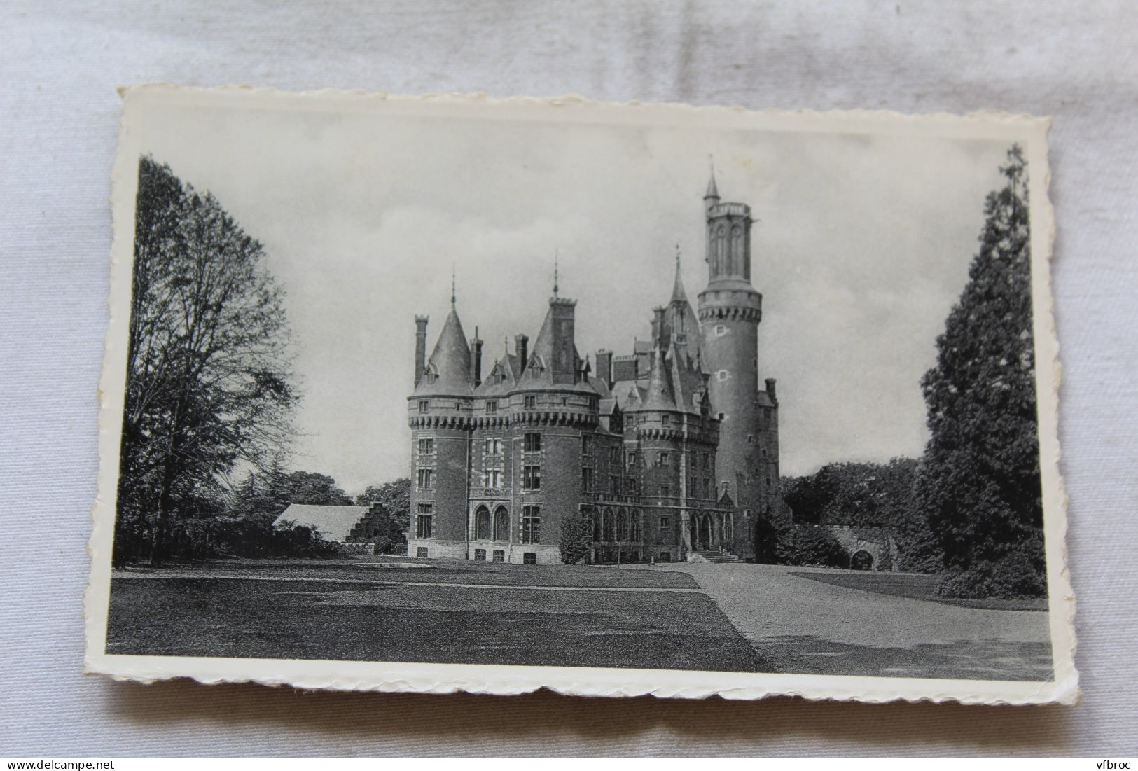 Cpsm, Antoing, château de S A le prince de Ligne, Belgique