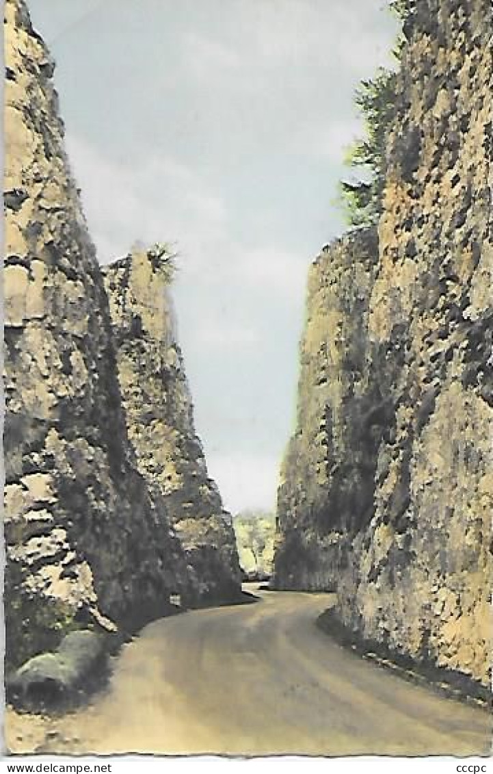 CPSM Arbois Route d'Arbois à Champagnole