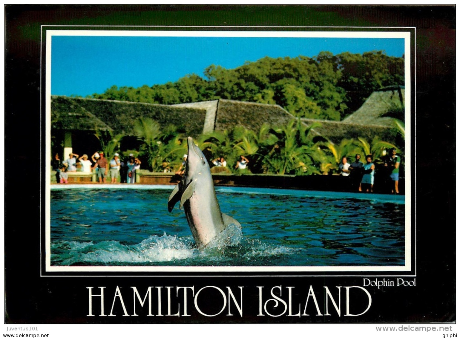 CPSM Australia-Hamilton Island-Dolphin Pool   L2171