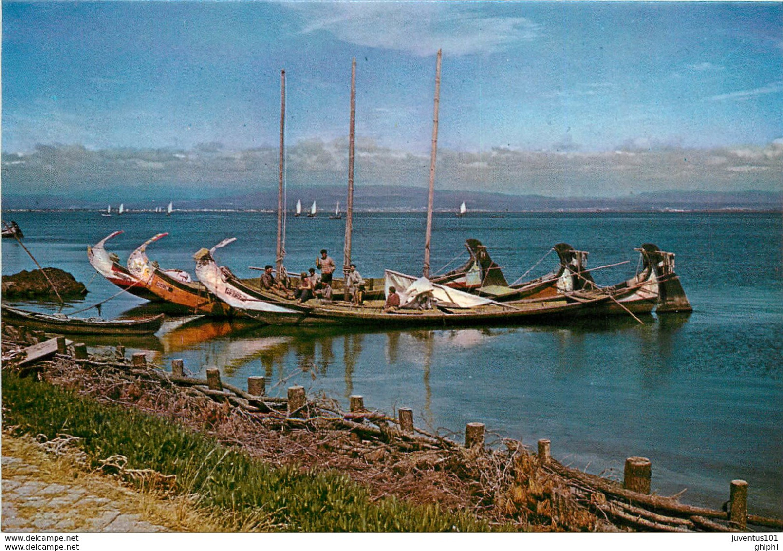 CPSM Aveiro              L2807