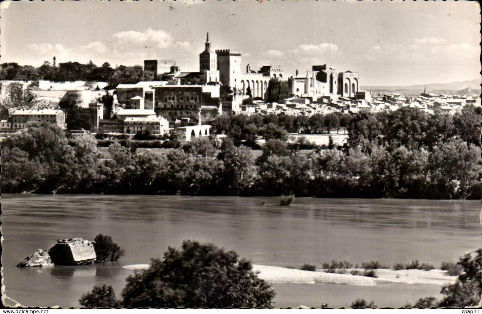 CPSM Avignon Pont Saint Benezet Le palais des papes et la ville
