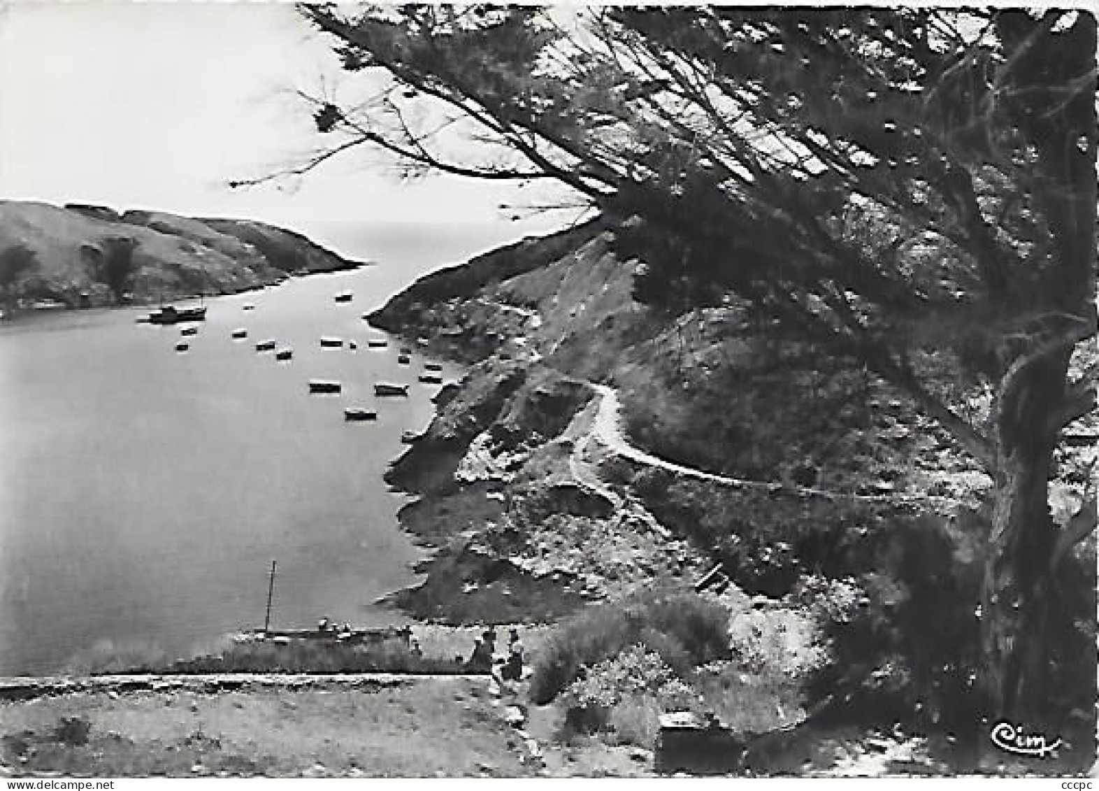 CPSM Belle-Ile-en-Mer  Port Goulphar