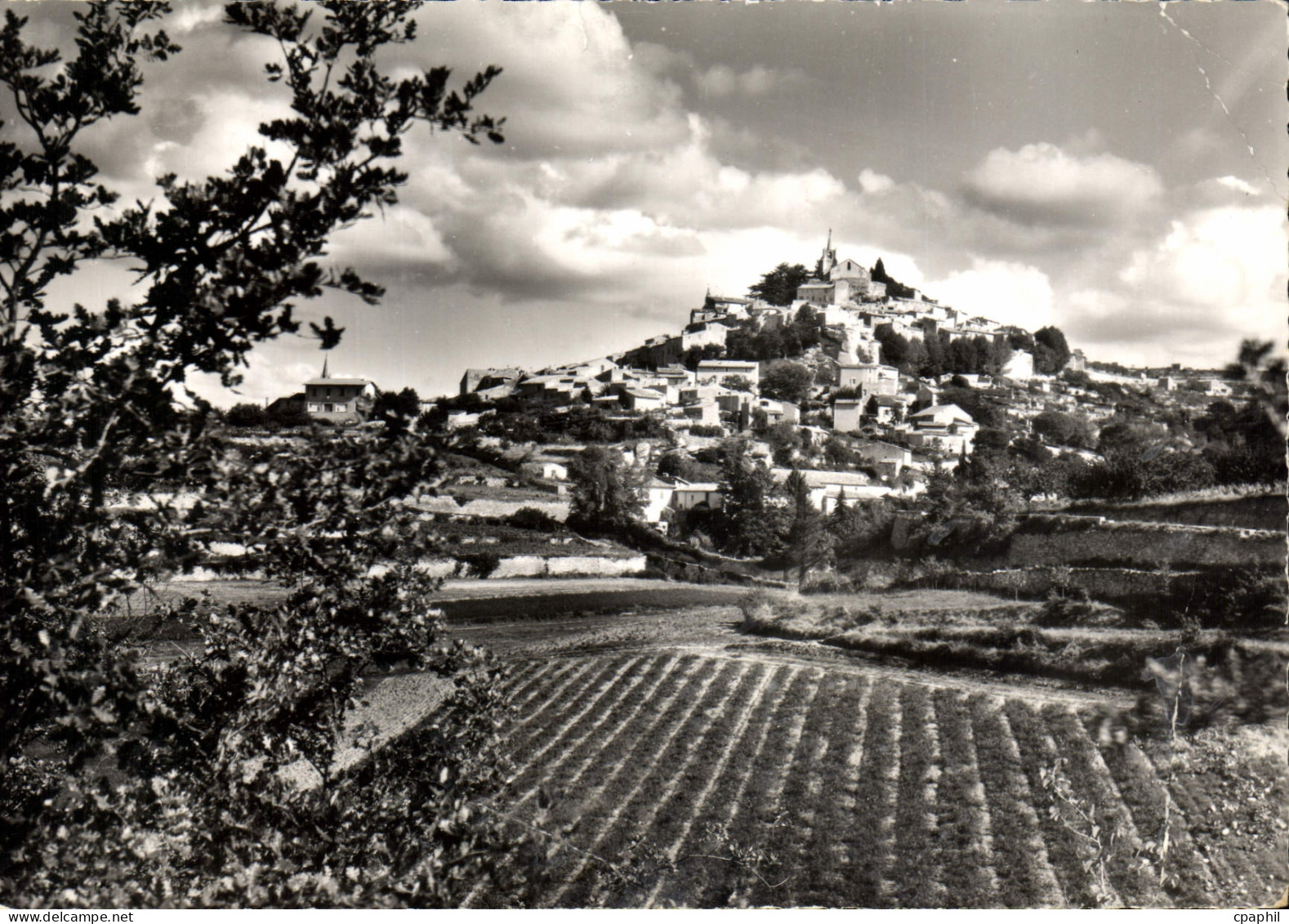CPSM Bonnieux Vue generale