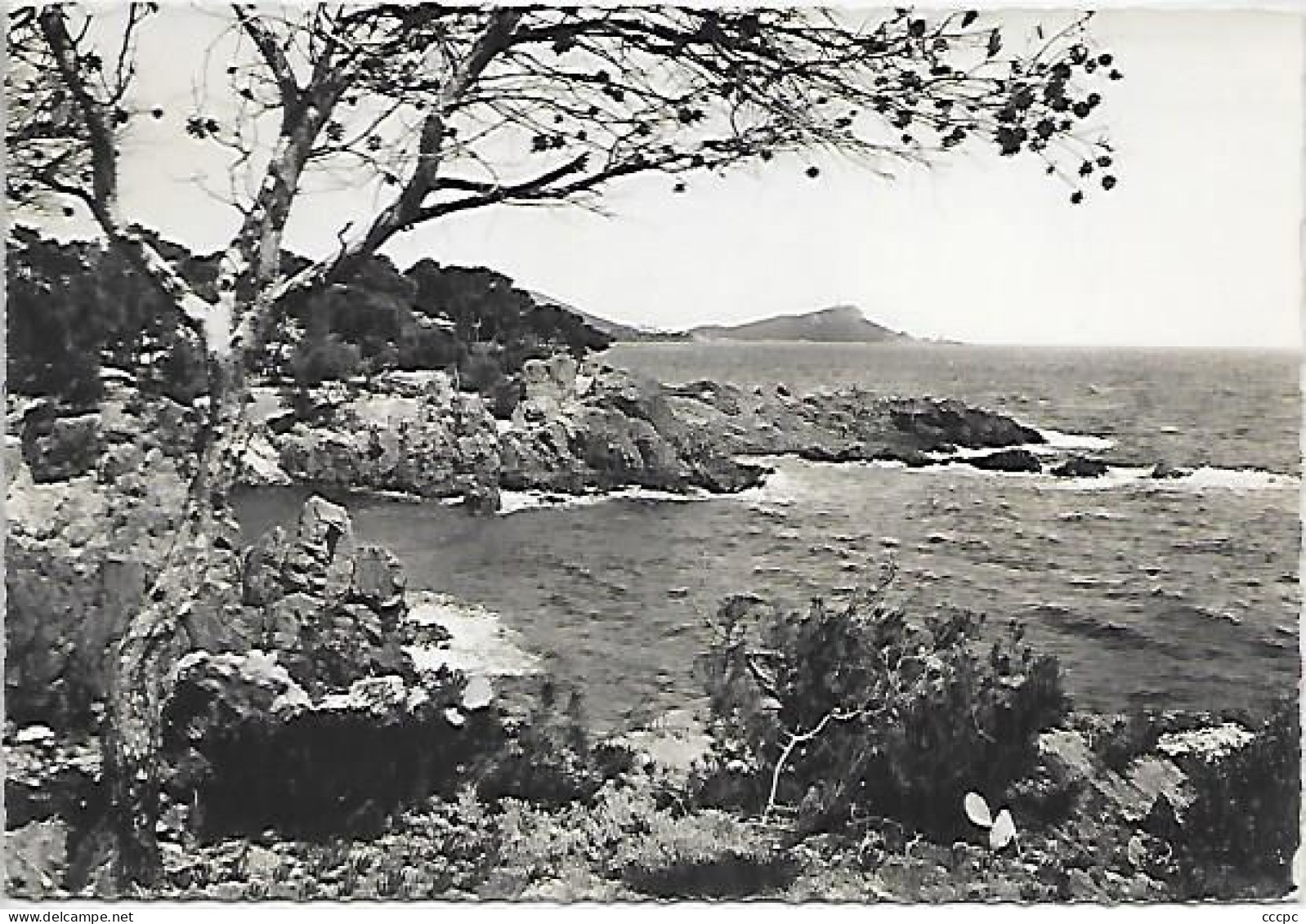 CPSM Boulouris Calanque de Santa-Lucia - au fond le Dramont