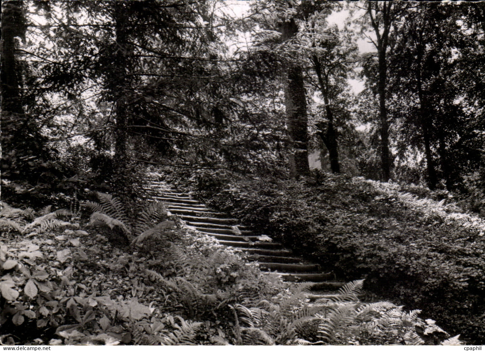 CPSM Bourbonne les Bains Parc du casino