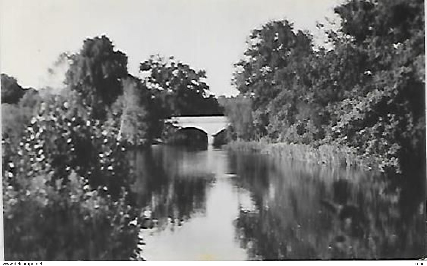 CPSM Bourganeuf  Paysage et le Pont de la Chassagne