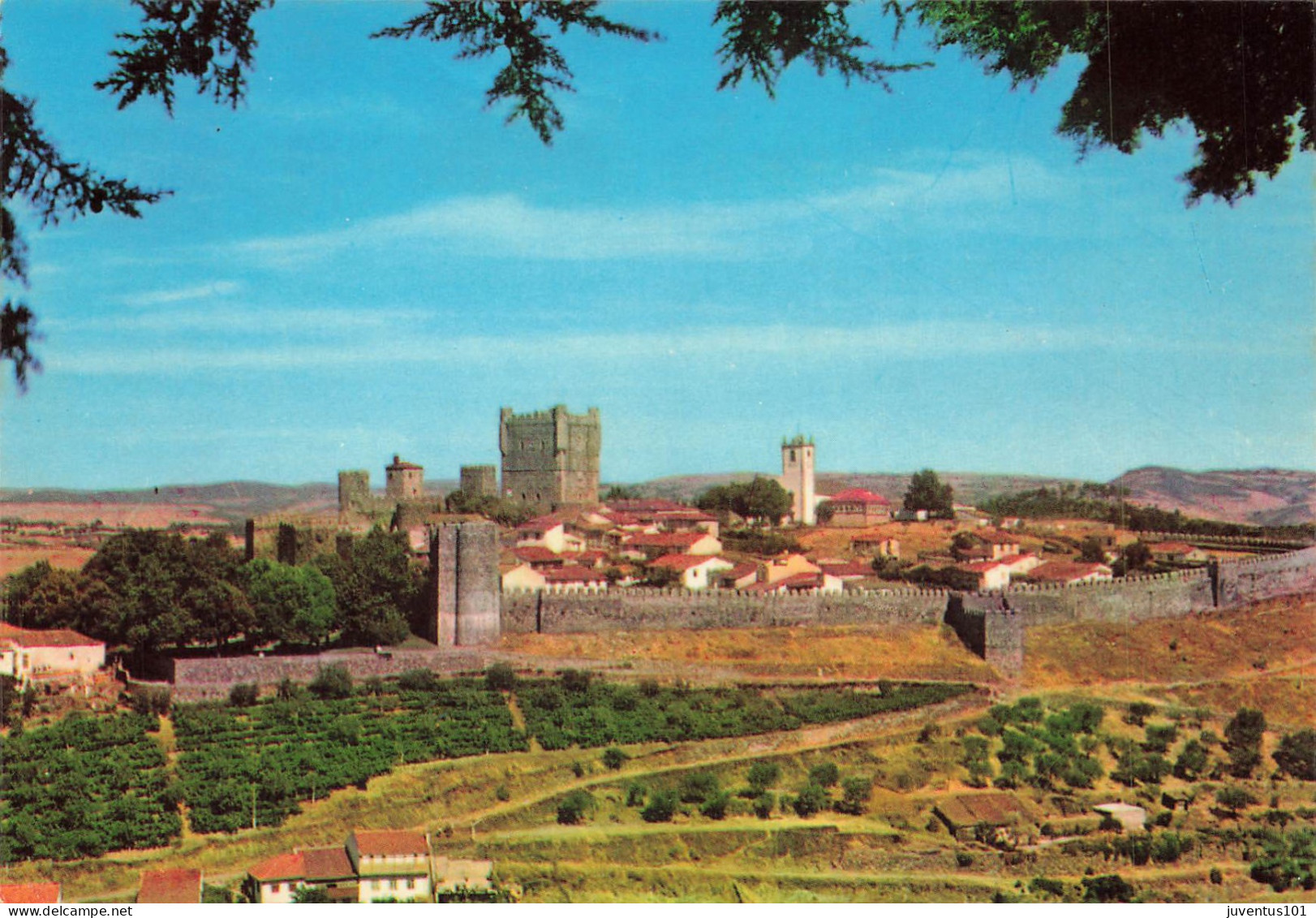 CPSM  Bragança    L4313