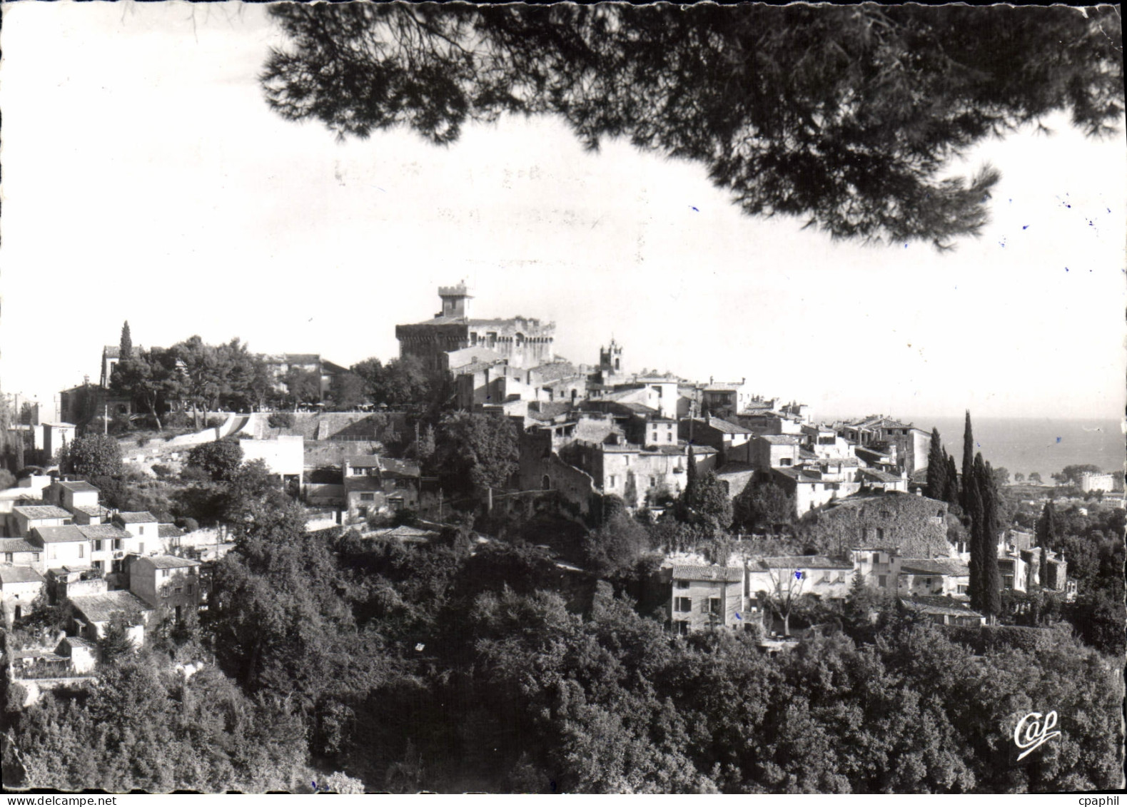 CPSM Cagnes Sur Mer Vue Generale