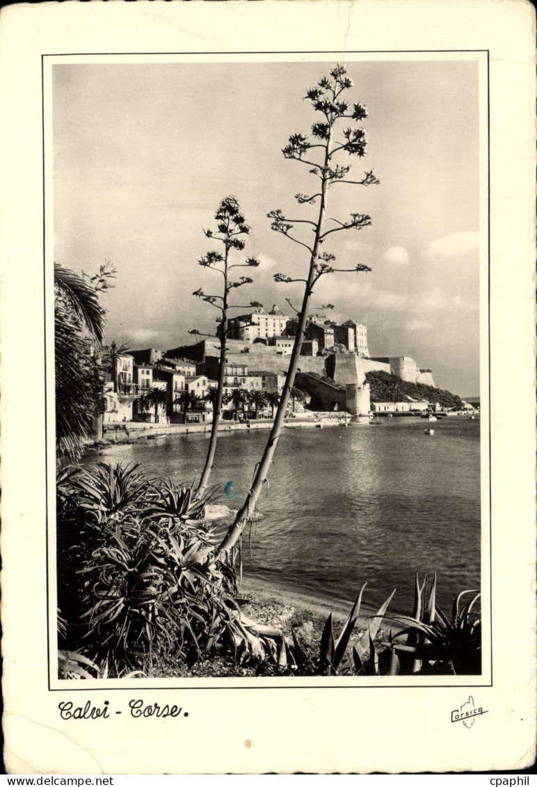 CPSM Calvi Ile De Beaute