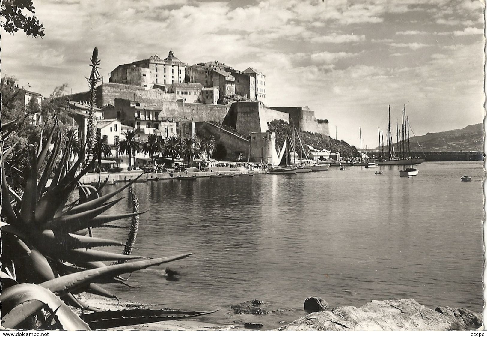 CPSM Calvi La Citadelle face occidentale