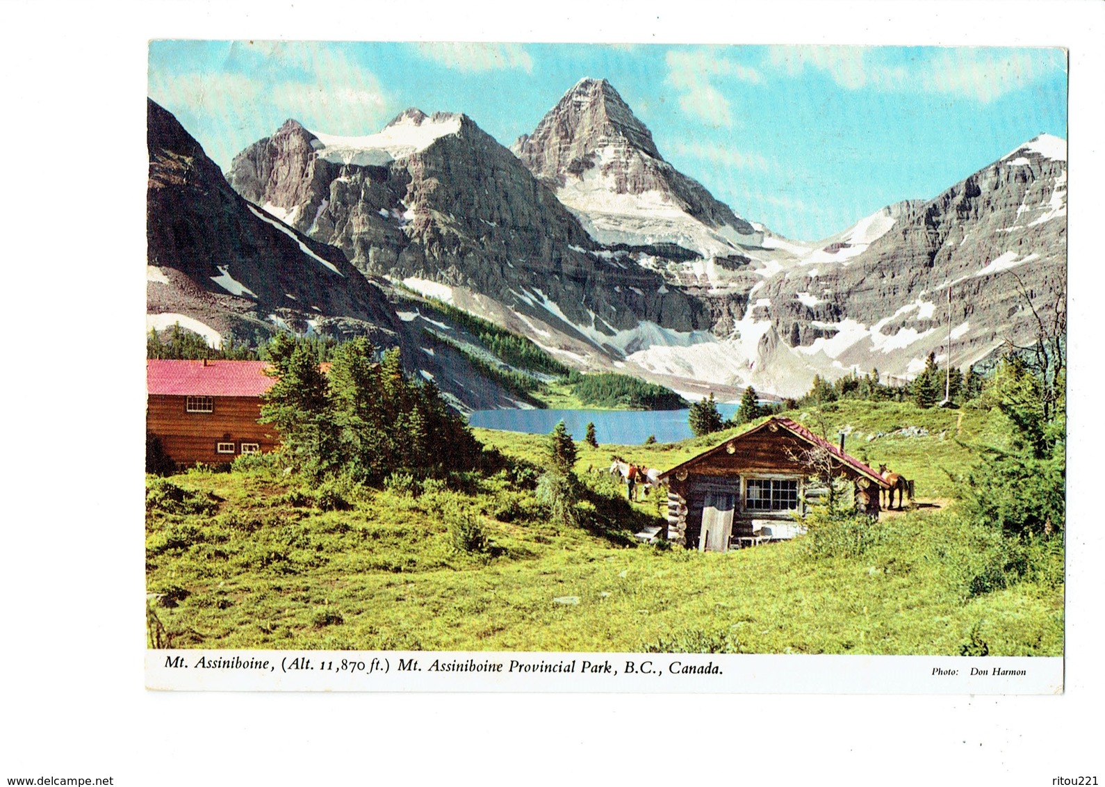 cpsm - CANADA MOUNT ASSINIBOINE - cheval
