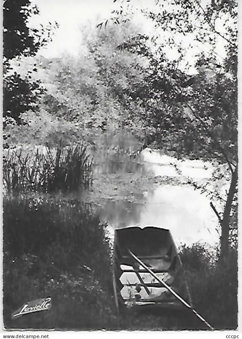 CPSM Canton de Riscle - Les bords de l'Adour