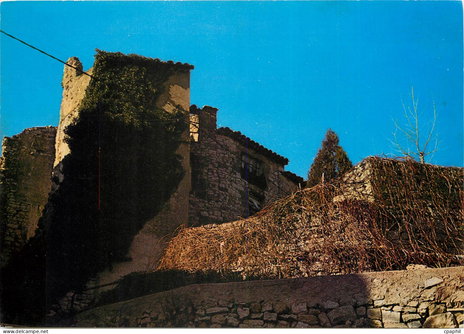 CPSM Carces Ruines du Chateau