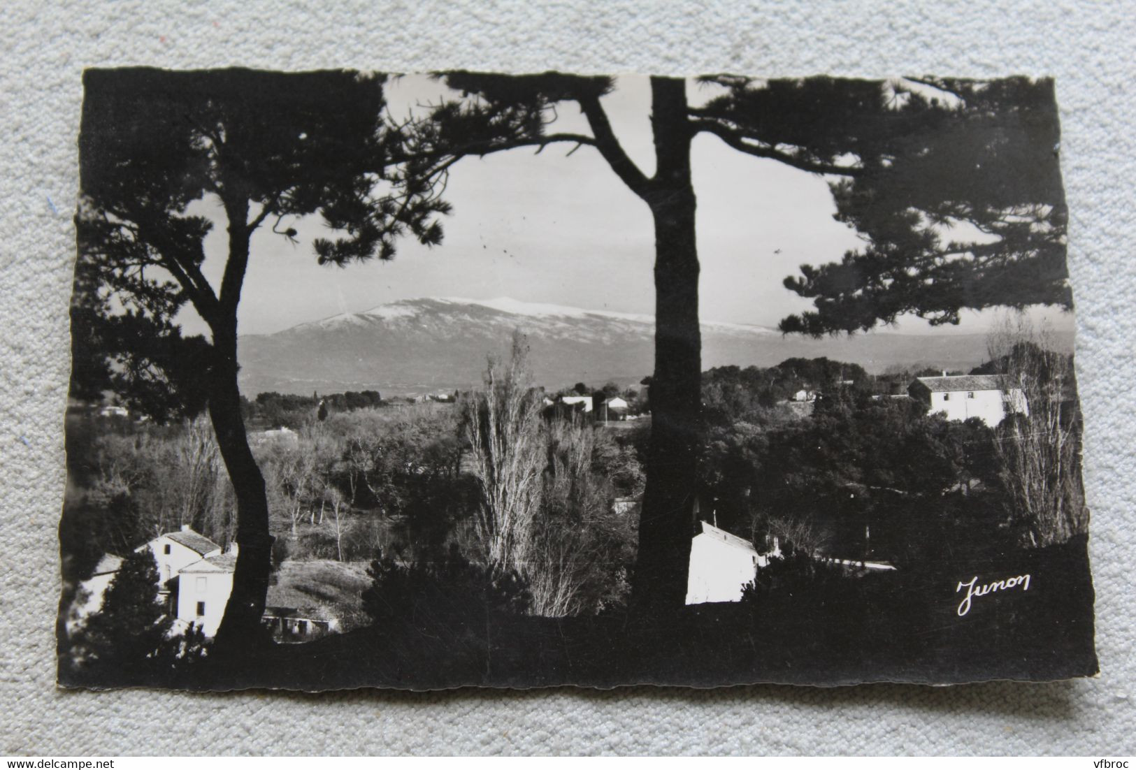 Cpsm, Carpentras, vue sur le mont Ventoux, Vaucluse 84
