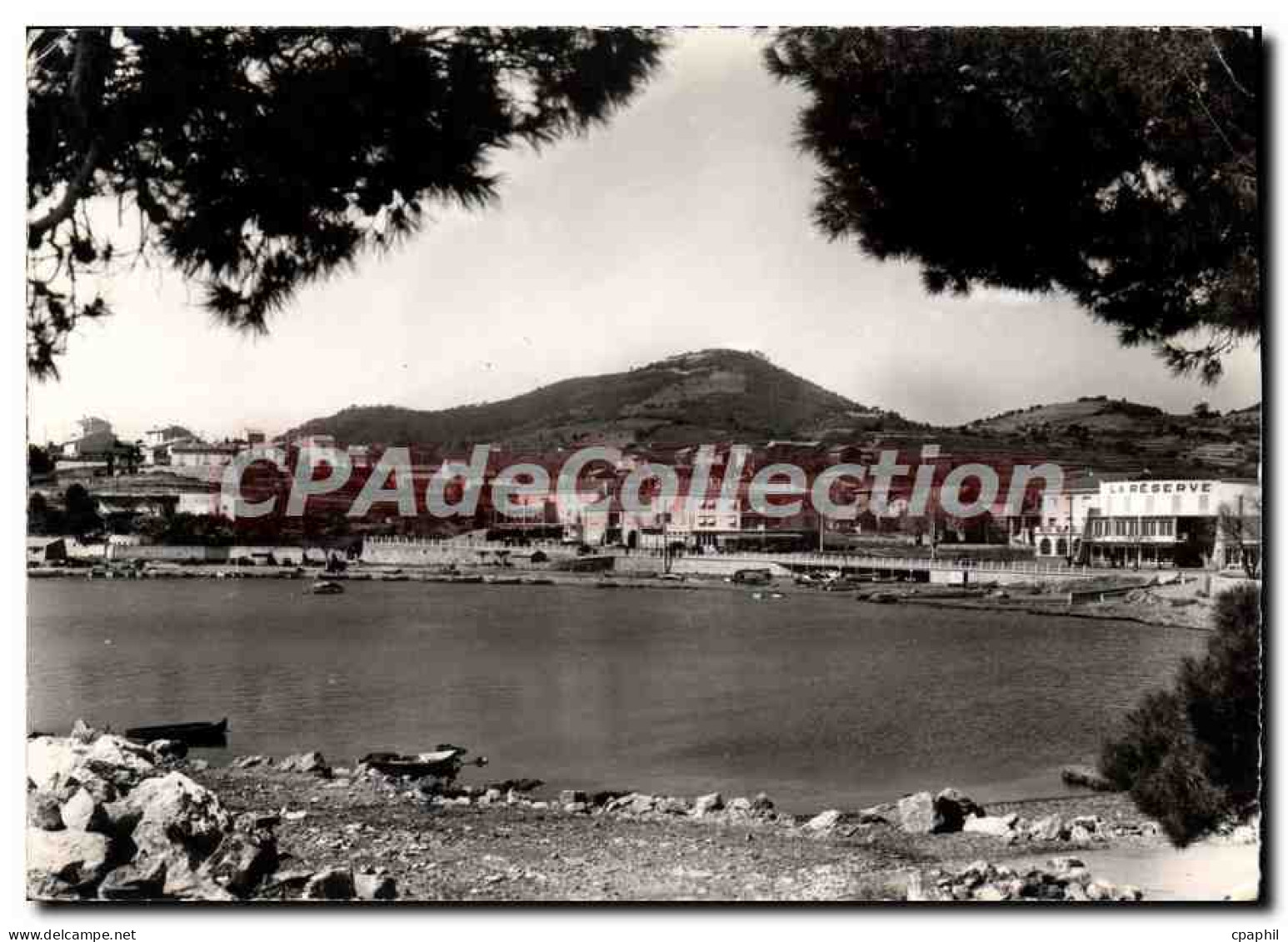 CPSM Carqueiranne Var Le Port vu des Pins penches