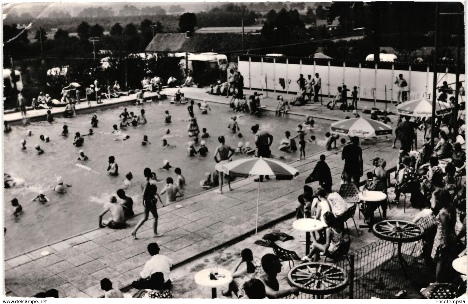 CPSM  Carte Postale  Belgique  Herselt Camping dry Eycken  1973  VM98754