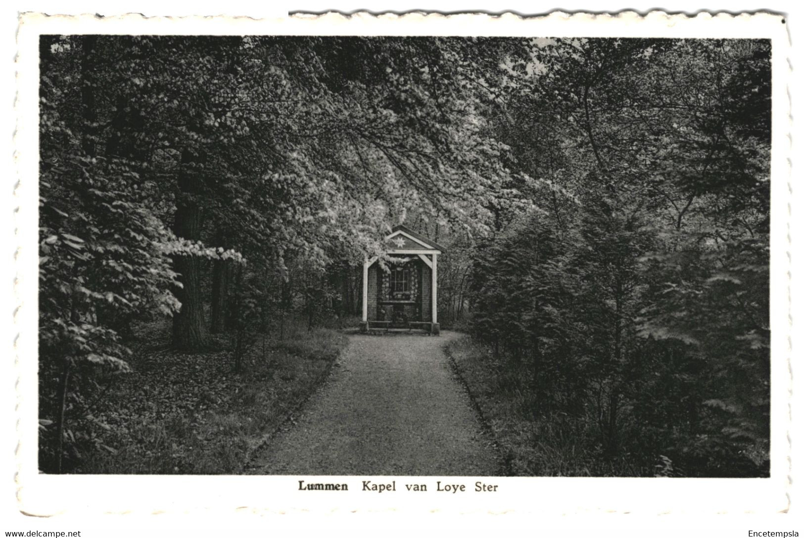 CPSM-Carte Postale Belgique-Lummen- Kapel van Loye Ster  VM37241
