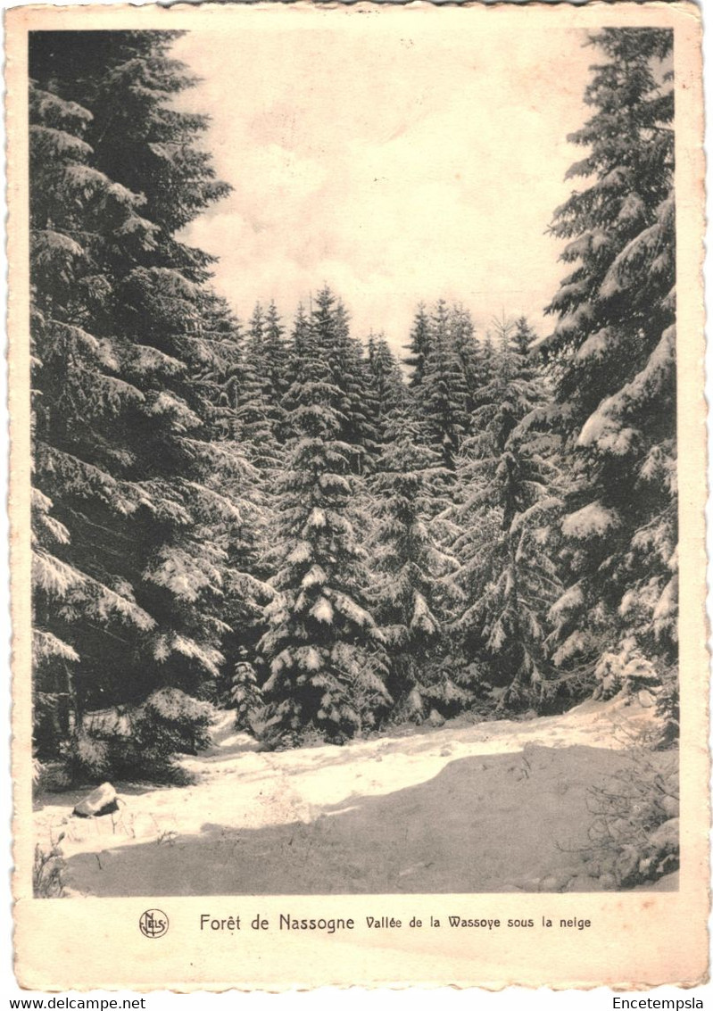 CPSM - Carte Postale - Belgique - Nassogne Forêt Vallée de la Wassoye sous la neige 1961VM51998