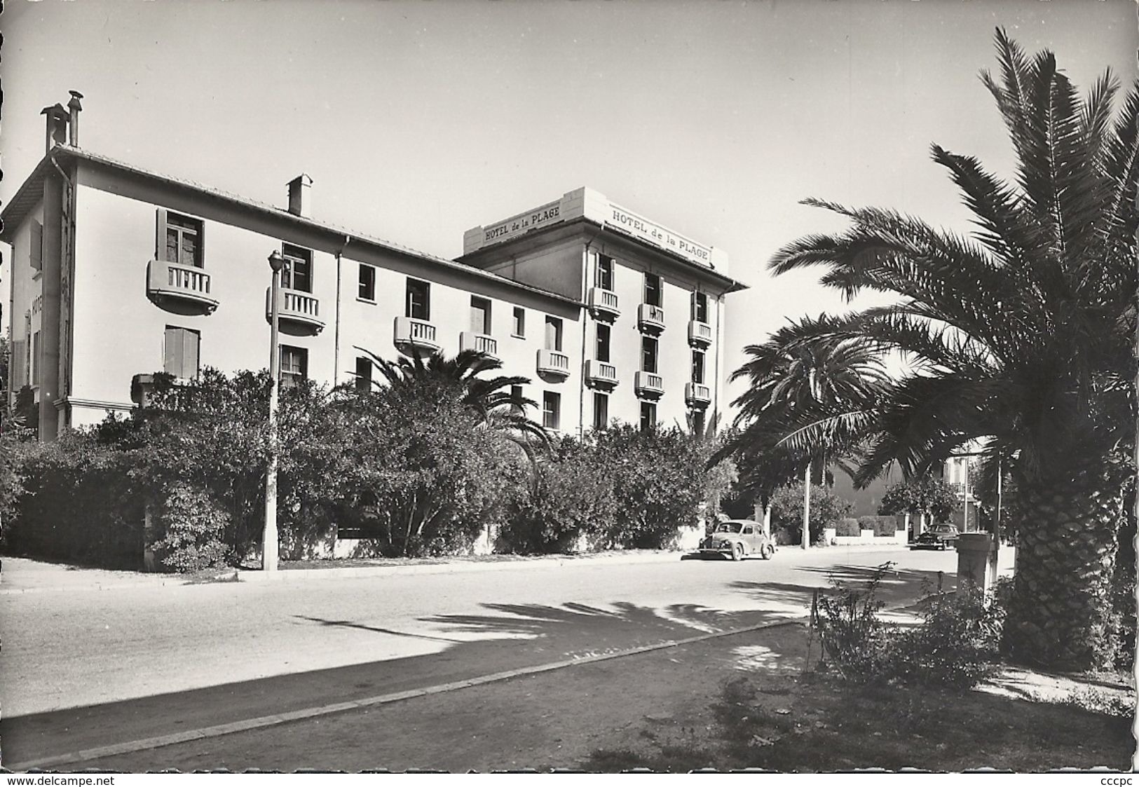 CPSM Cavalaire-sur-Mer Avenue des Alliés