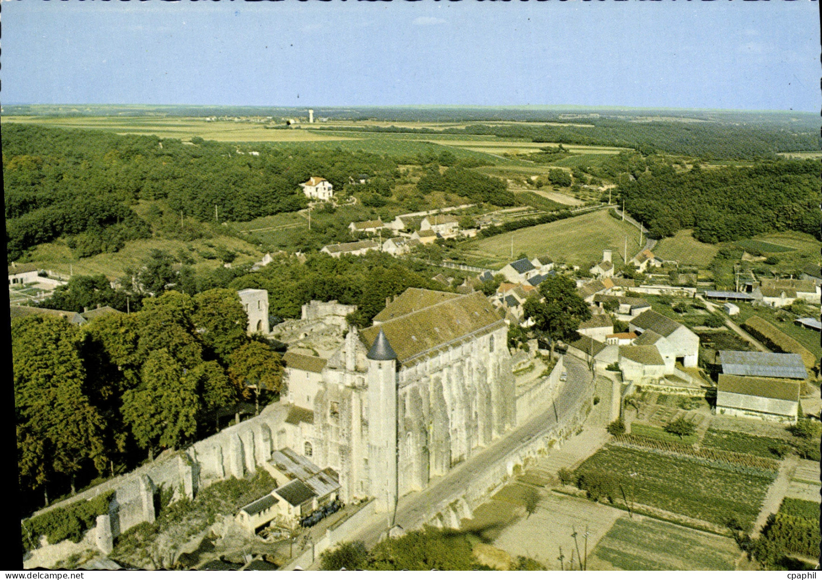 CPSM Chateau Landon (S et M)