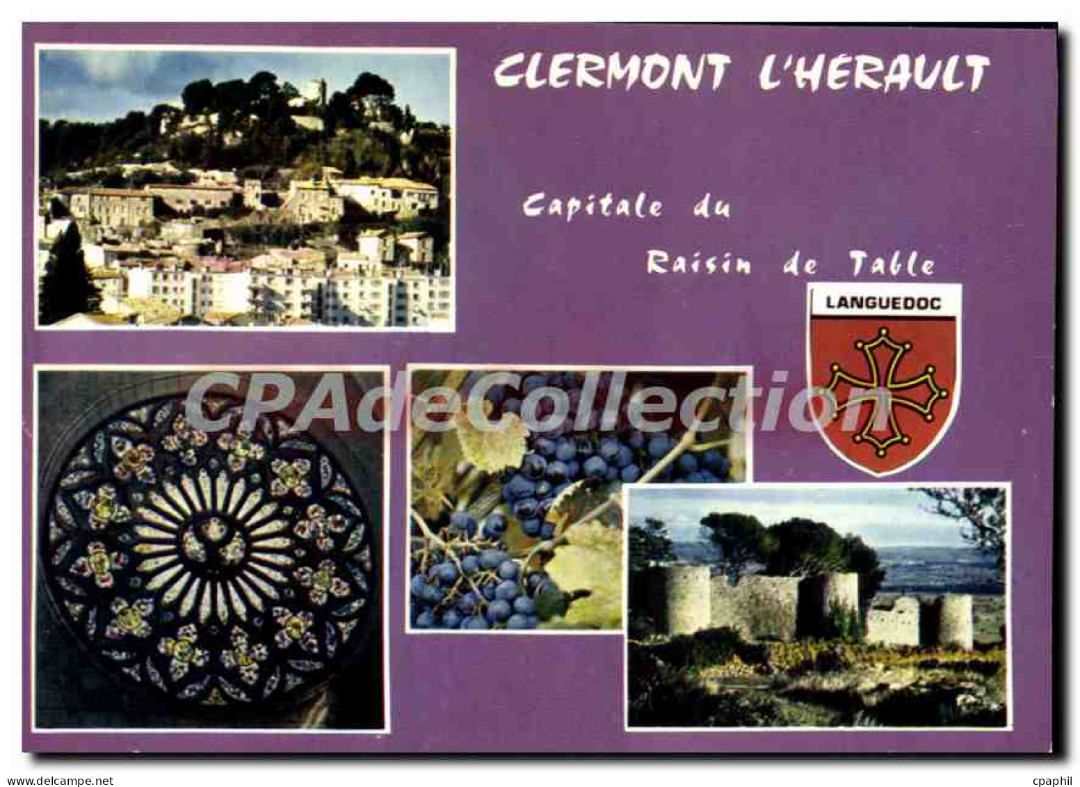 CPSM Clermont L'Herault Vue Generale La Rosace
