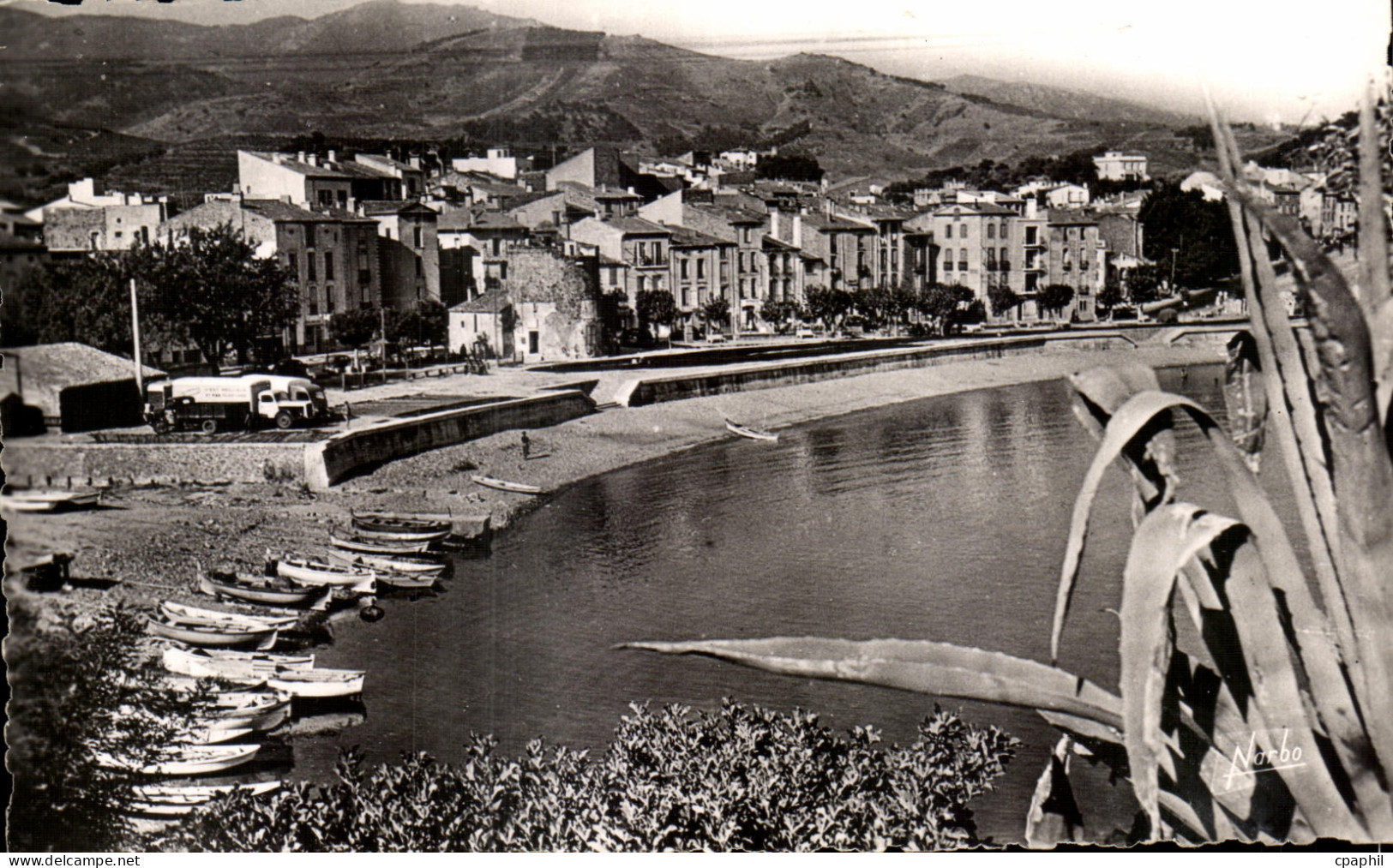 CPSM Collioure Le Plage du Faubourg