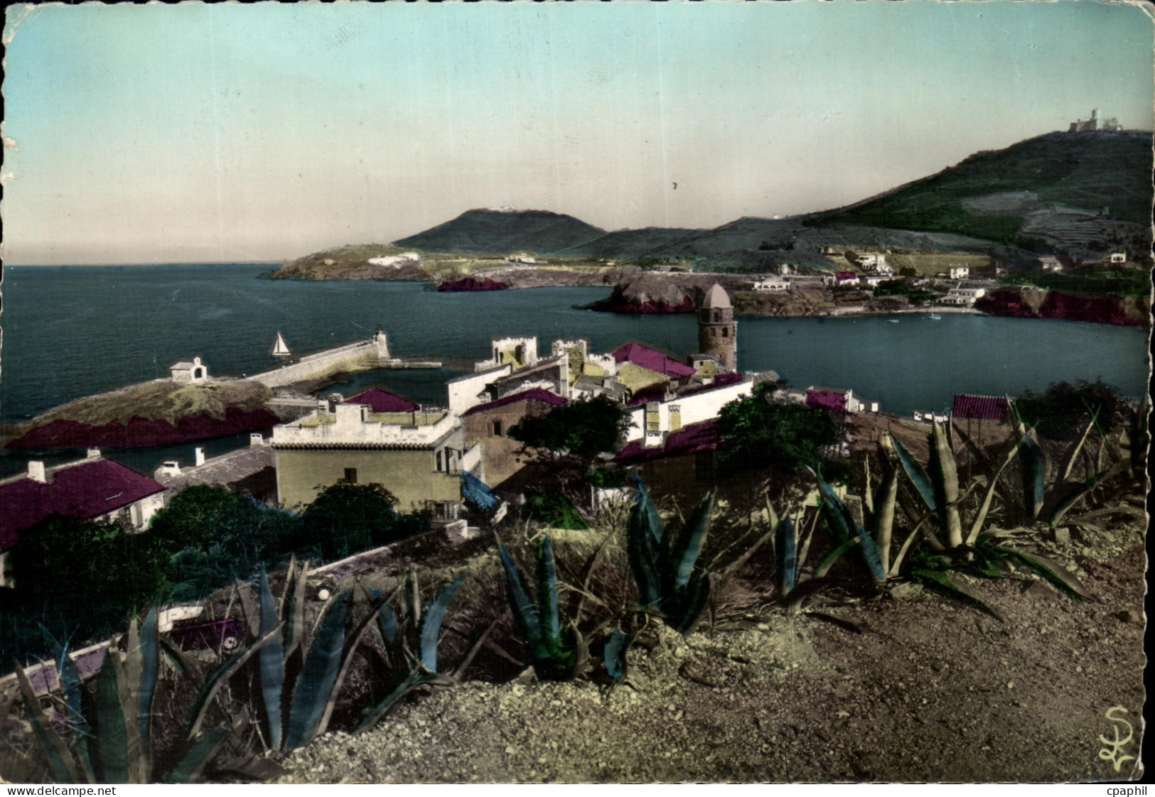 CPSM Collioure Vue Generale