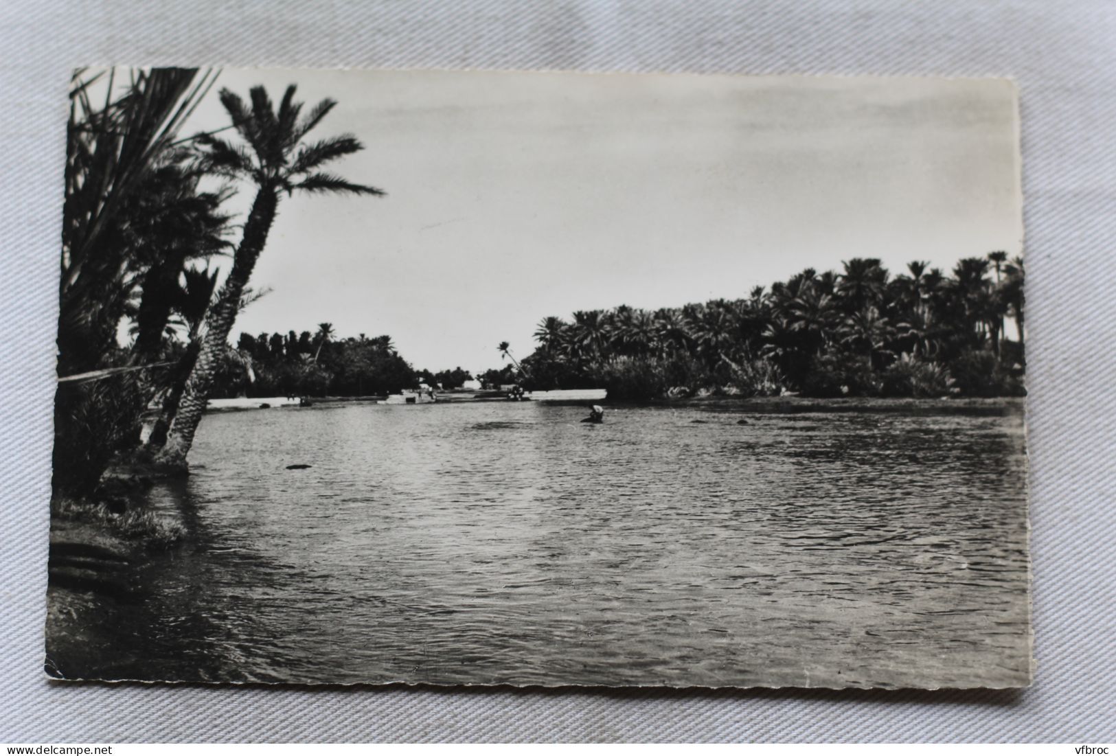 Cpsm, Colomb Bechar, l'oued Béchar en crue, Algérie