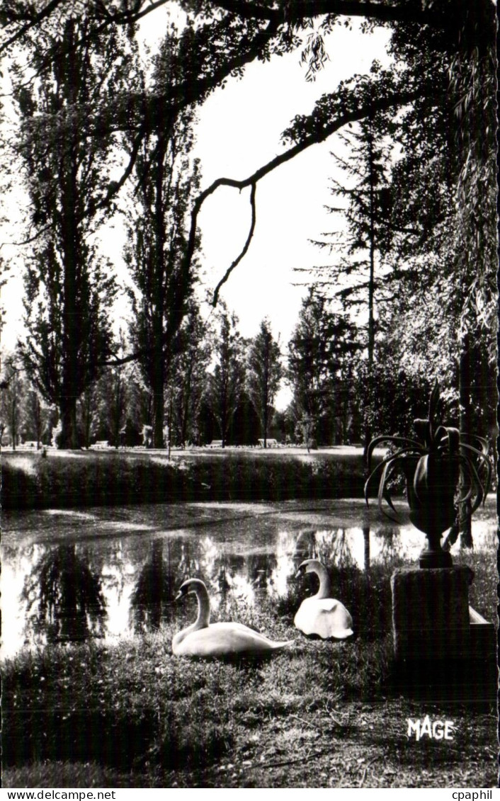 CPSM Coulommiers Parc des Capucins Les cygnes