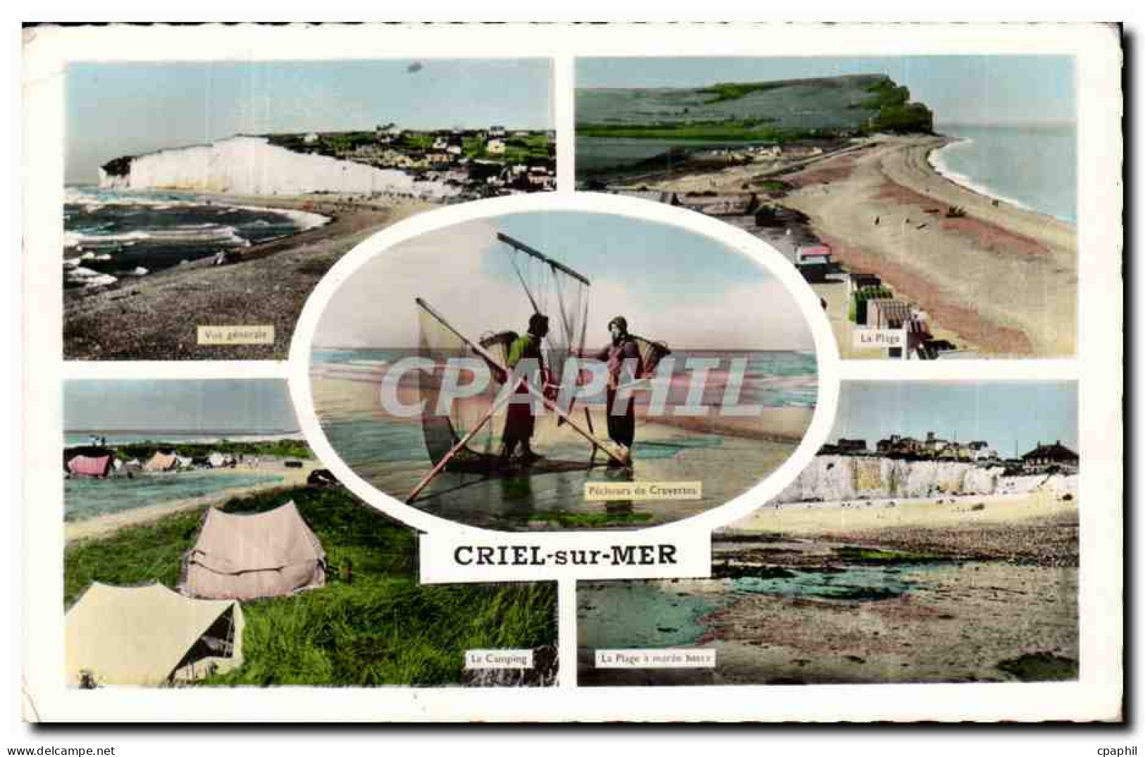 CPSM Criel sur mer Pecheurs de crevettes