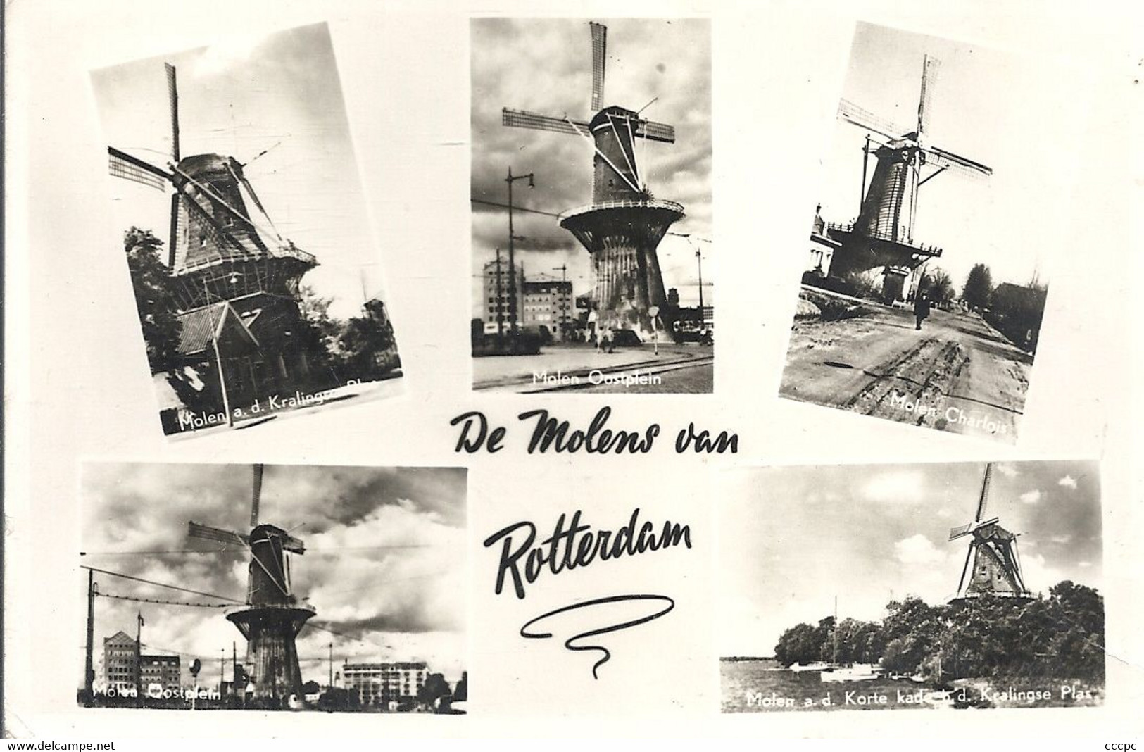 CPSM De Molens van Rotterdam - Les Moulins de Rotterdam