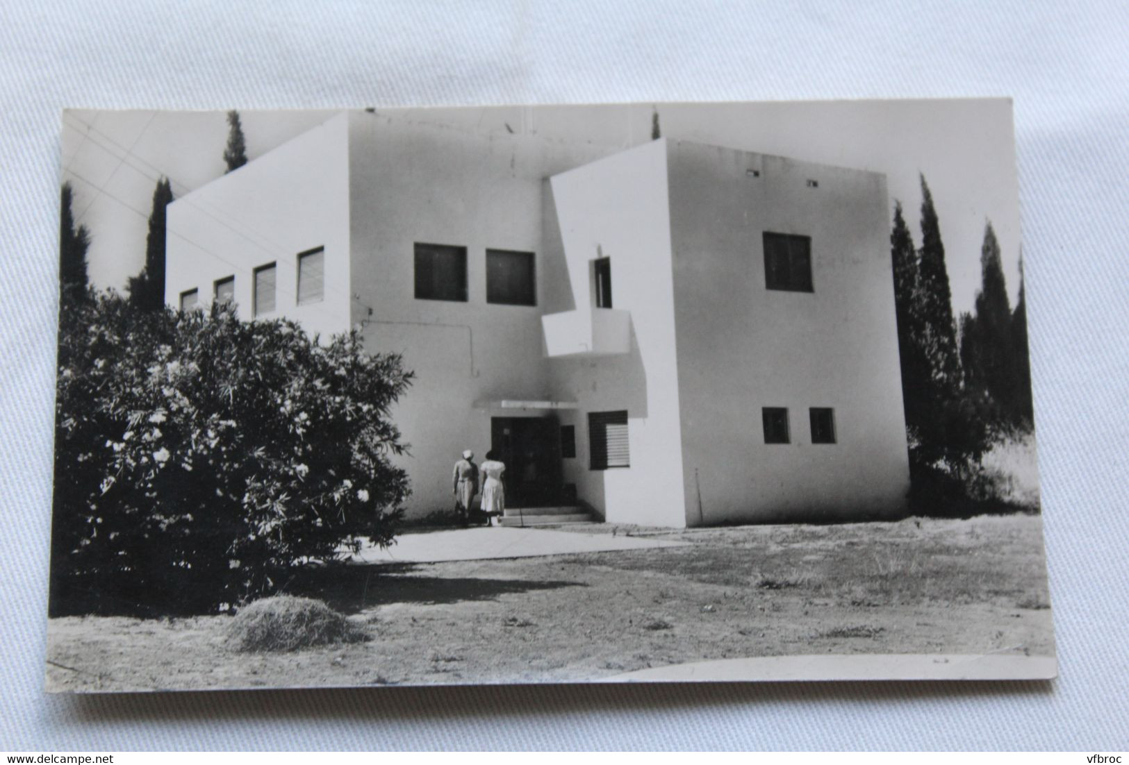 Cpsm, Degania Aleph, musée de sciences naturelles, Syrie