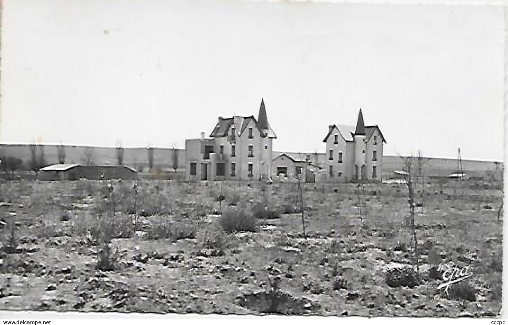 CPSM Djelfa La Chefferie