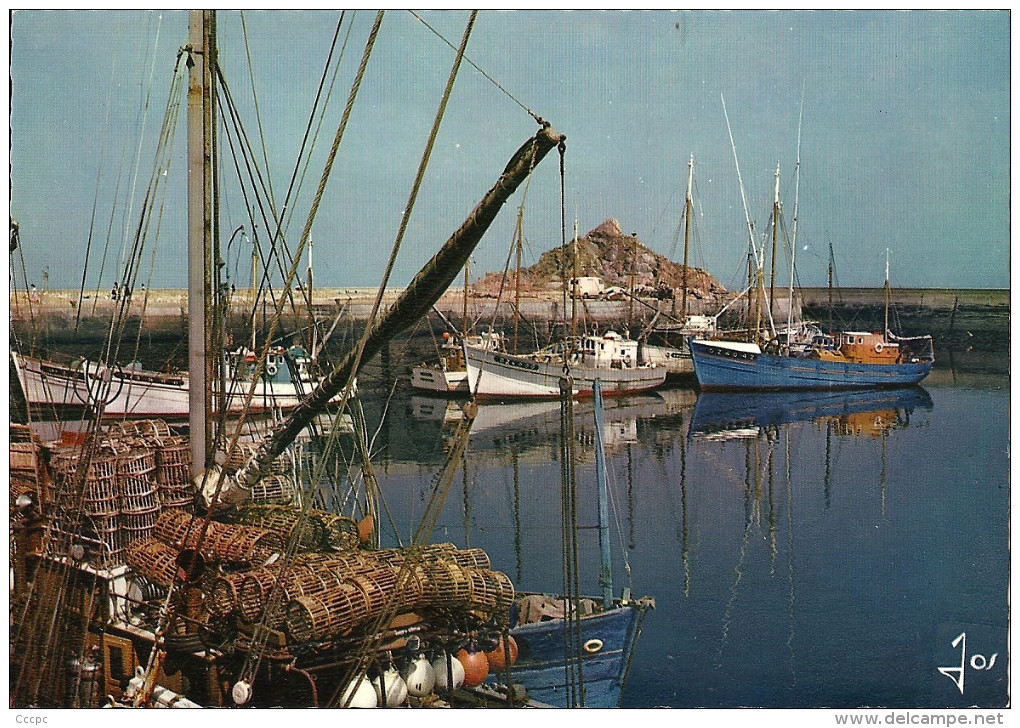 CPSM Douarnenez Bateaux devant le Flimiou