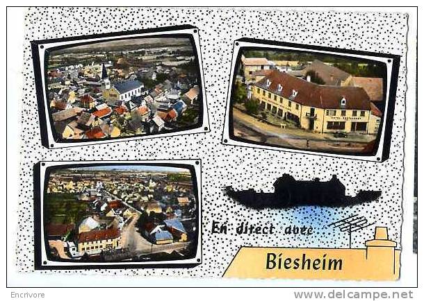 cpsm en direct de BIESHEIM 3 vues dans récepteur de télévision -antenne -hotel GROFF- barrage vogelgrun- n°150 lapie