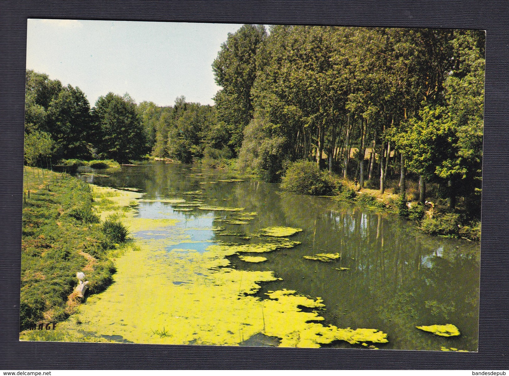 CPSM Flogny la Chapelle (89) L' Armancon ( Ed. MAGE)