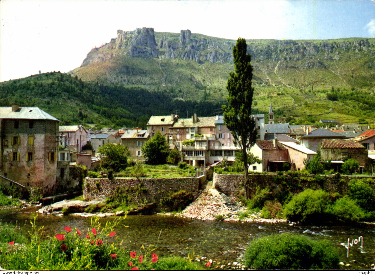 CPSM Florac Les Bords Du Tarnon